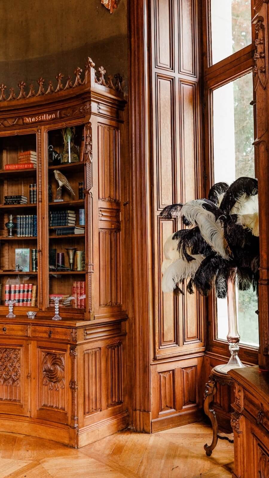 the library in a french fairytale castle